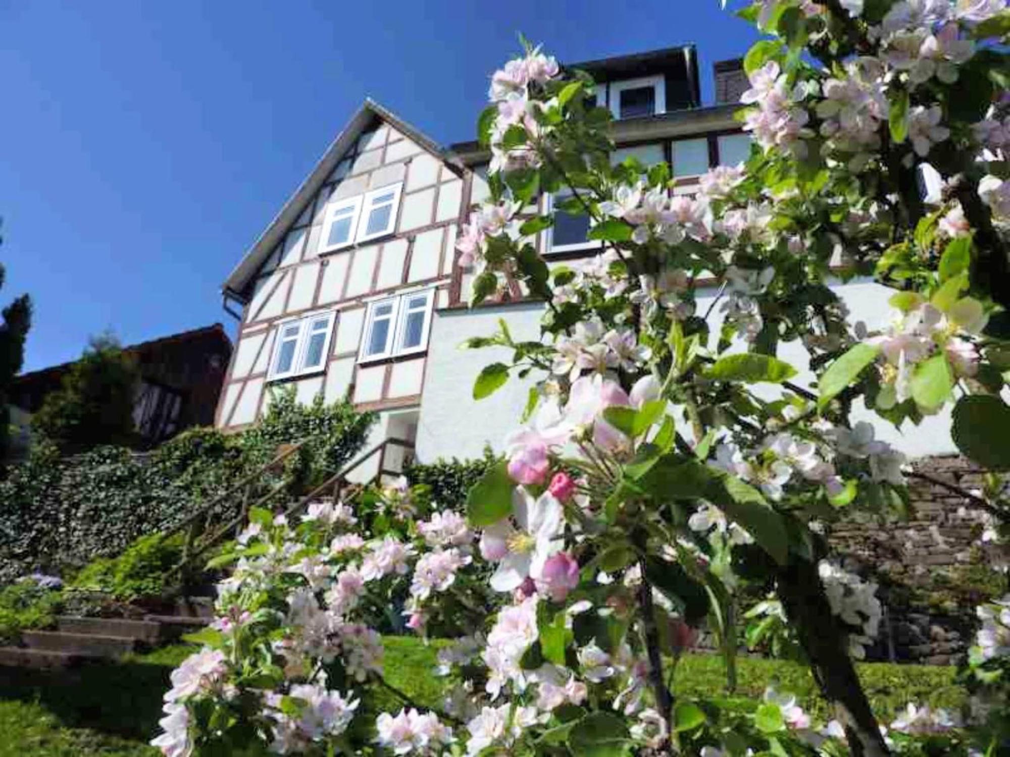 Delightful Holiday Home In Battenberg Near Forest Eksteriør bilde